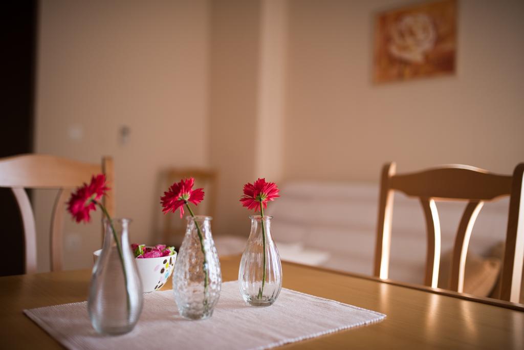 Nataly Apartament *